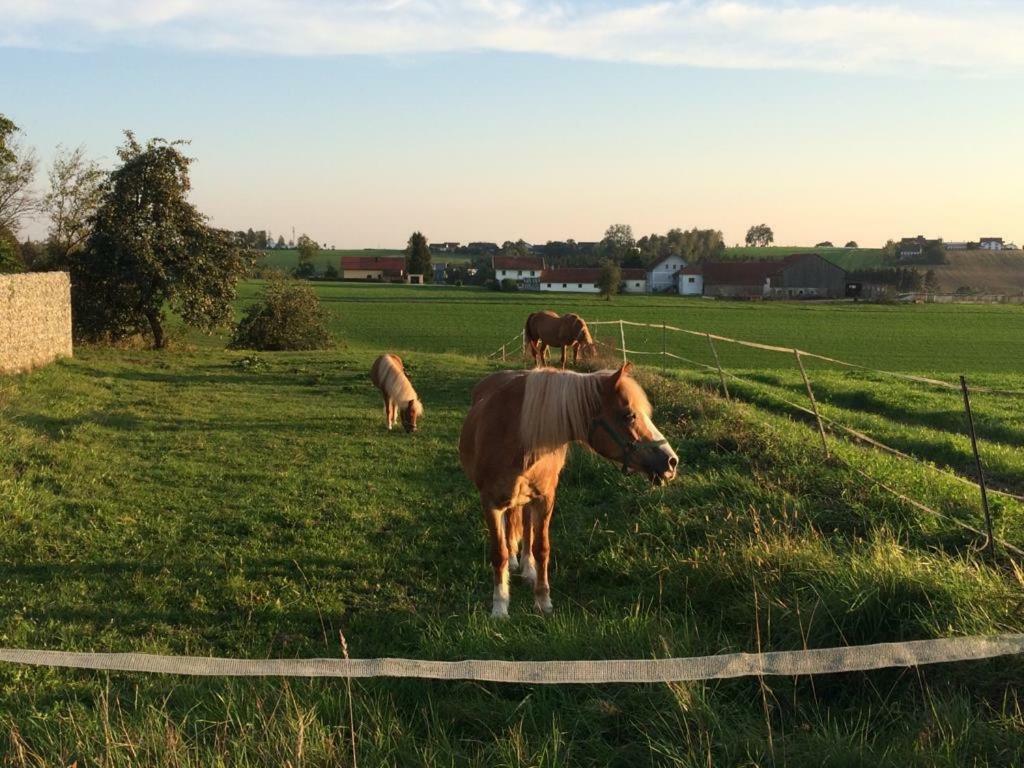 Ferienhof Loew Salzweg Exterior foto