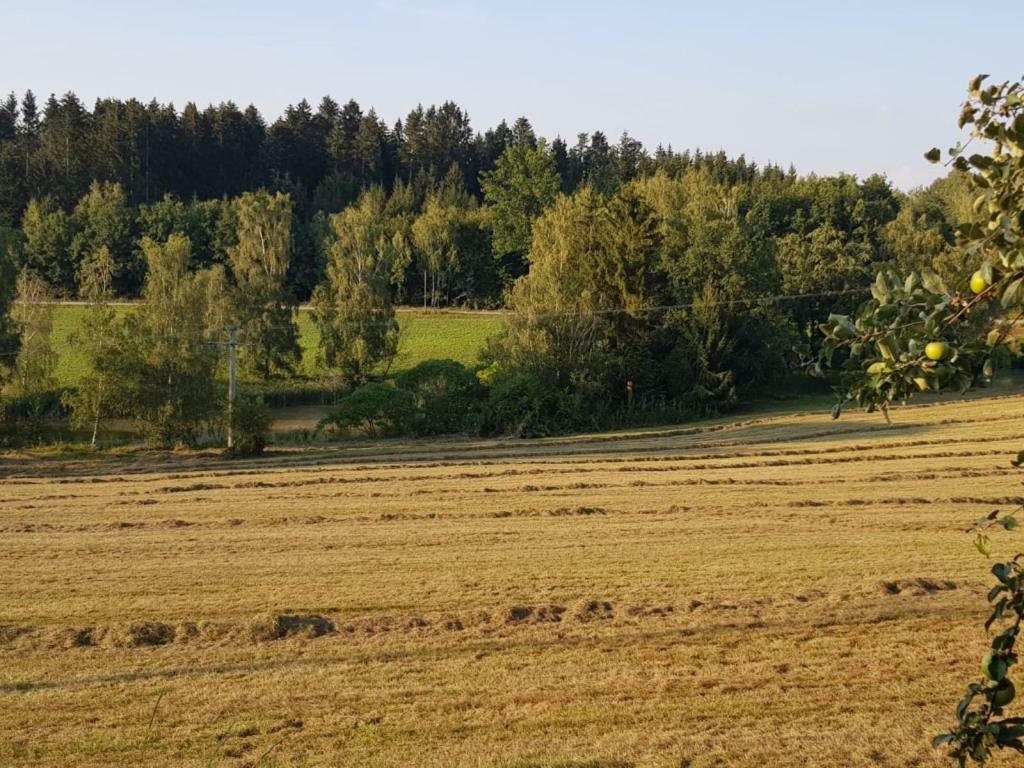 Ferienhof Loew Salzweg Exterior foto