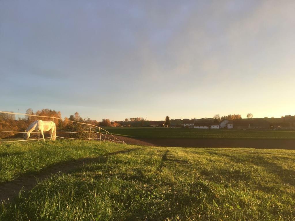 Ferienhof Loew Salzweg Exterior foto